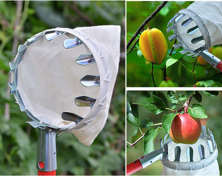Cueille-Fruits